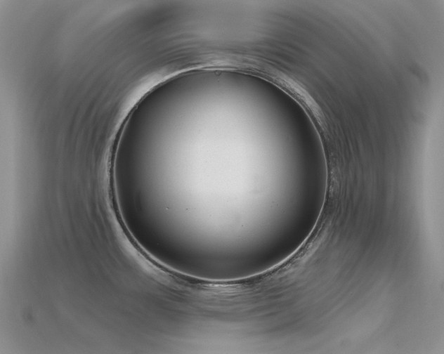 X0000115771483200911131206