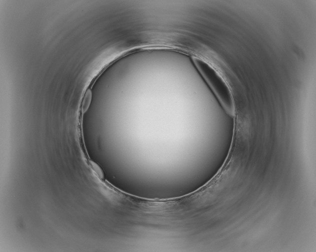 X0000115771485200911131206