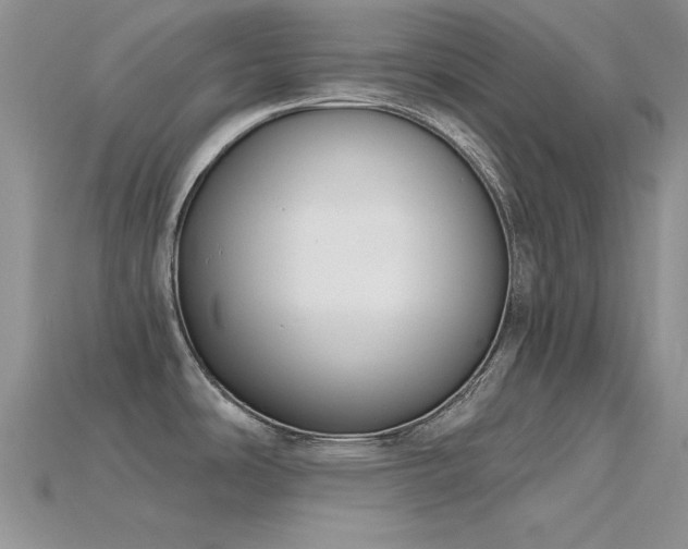 X0000115771486200911131206