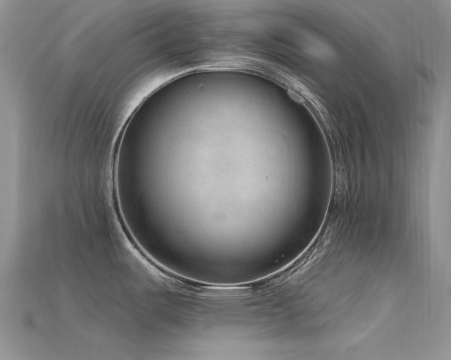 X0000115771487200911131206