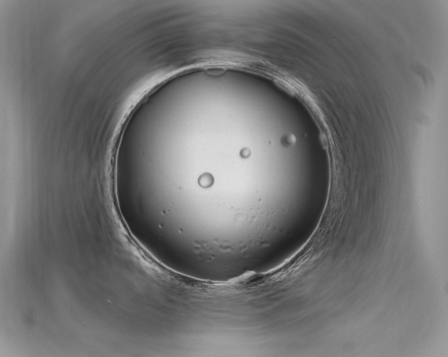 X0000115771488200911131206