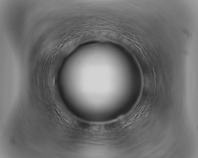 X0000115771489200911131206
