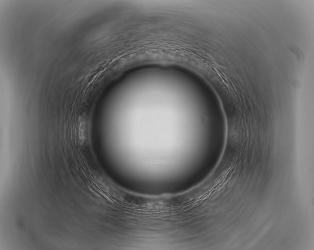 X0000115771490200911131206