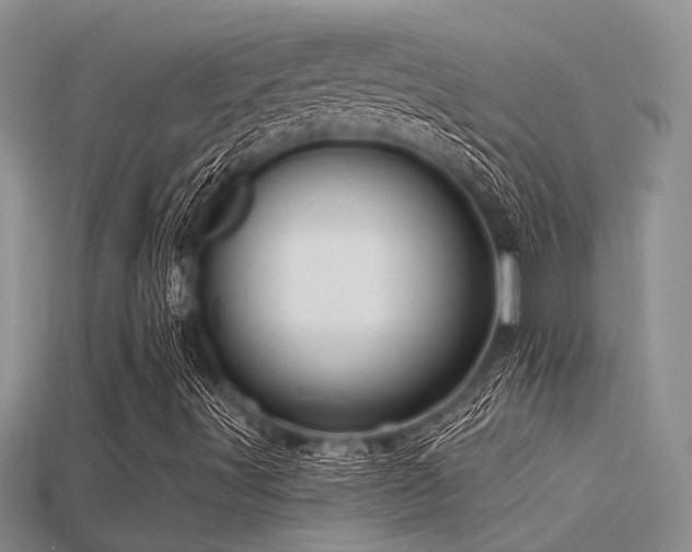 X0000115771491200911131206