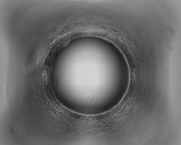 X0000115771493200911131206
