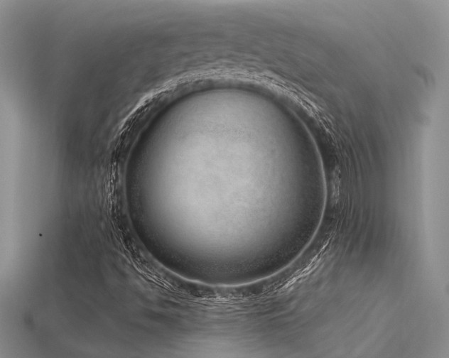 X0000115771494200911131206