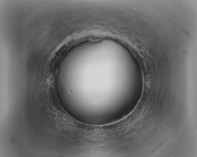 X0000115771495200911131206