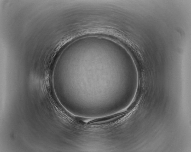 X0000115771497200911131206