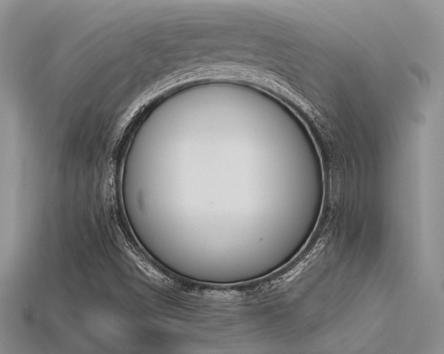 X0000115771498200911131206