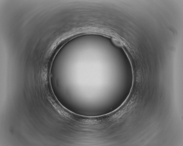 X0000115771499200911131206