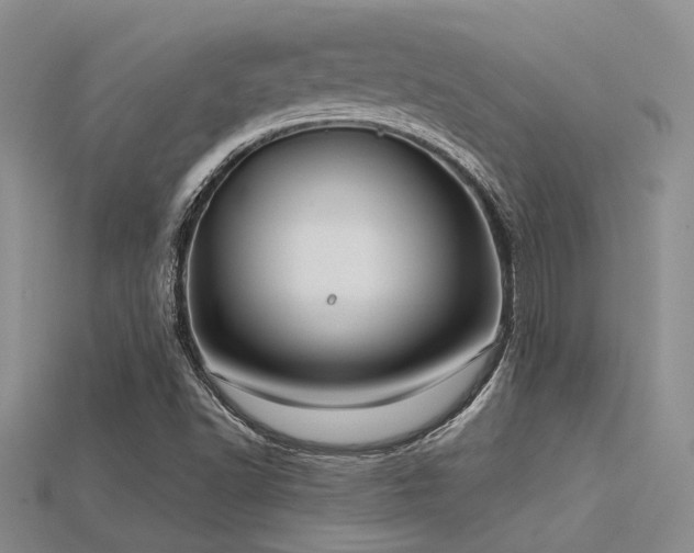 X0000115771502200911131206