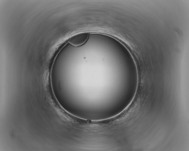 X0000115771507200911131206