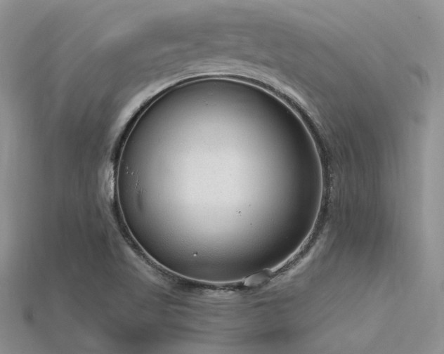 X0000115771509200911131206