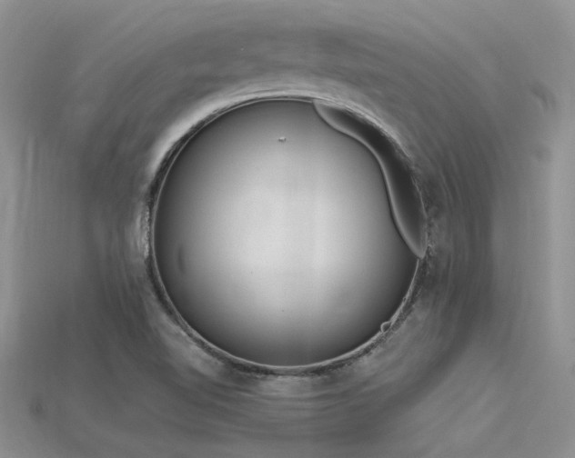 X0000115771510200911131206