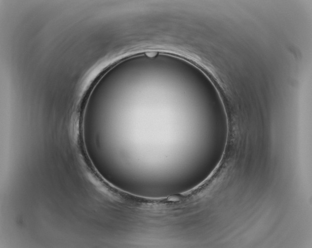 X0000115771511200911131206