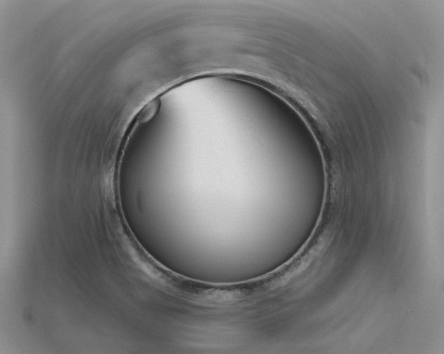 X0000115771513200911131206