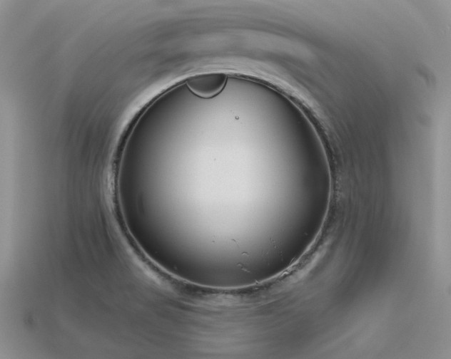 X0000115771517200911131206