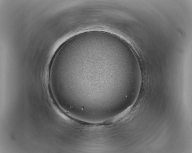 X0000115771519200911131206