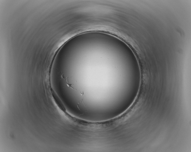 X0000115771521200911131206