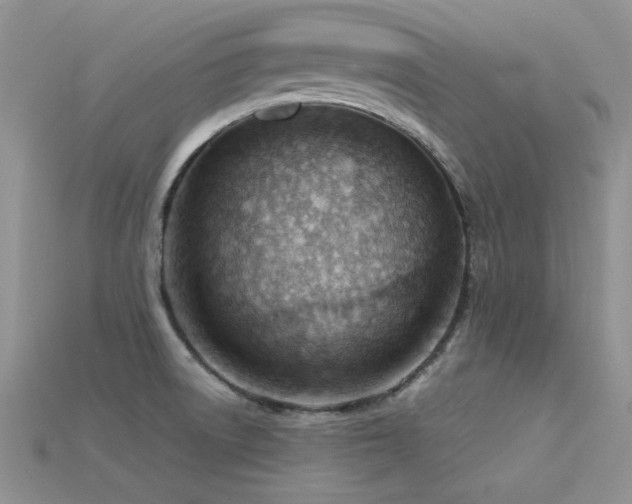 X0000115771522200911131206