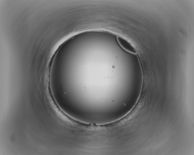 X0000115771526200911131206