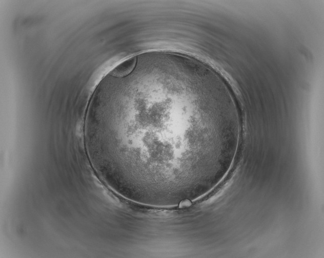X0000115771529200911131206