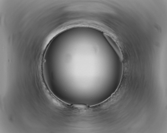 X0000115771530200911131206