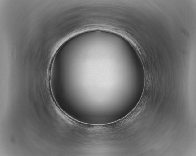X0000115771535200911131206