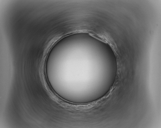 X0000115770001200911201228
