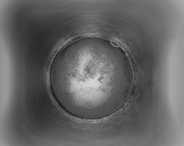 X0000115770002200911201228
