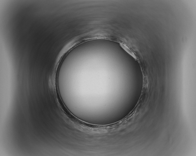 X0000115770004200911201228