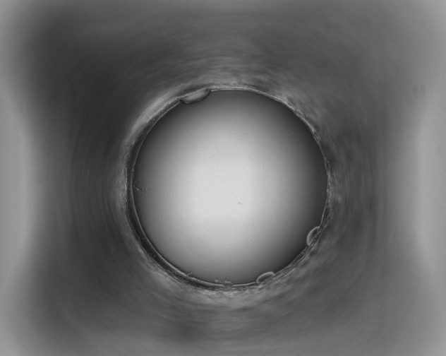 X0000115770005200911201228