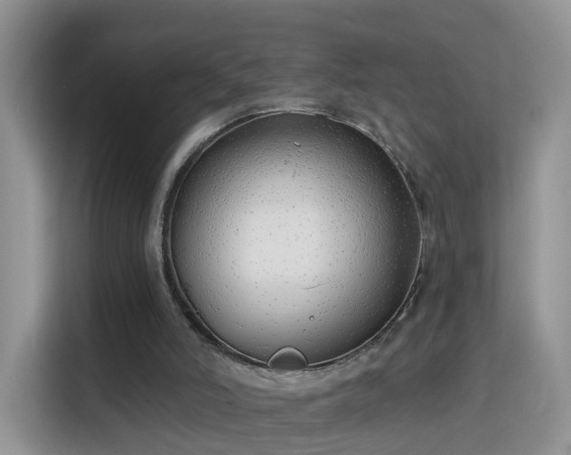 X0000115770006200911201228