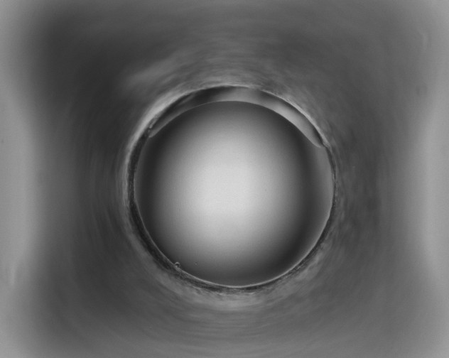 X0000115770008200911201228