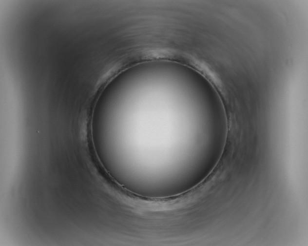 X0000115770010200911201228