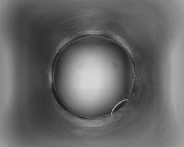 X0000115770011200911201228