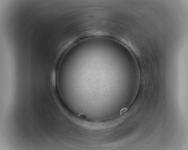 X0000115770014200911201227