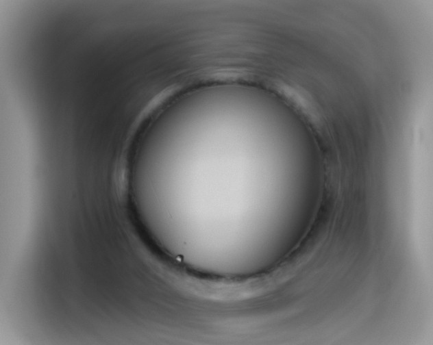 X0000115770016200911201227