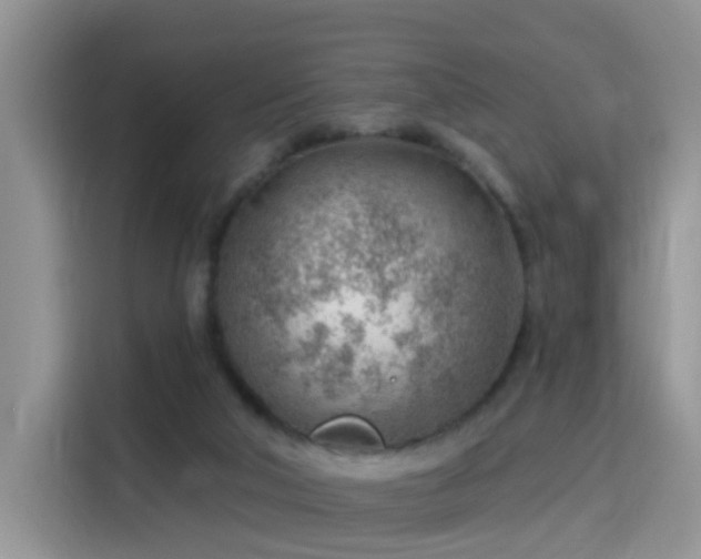 X0000115770018200911201227