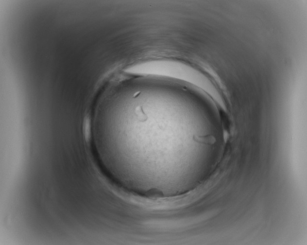 X0000115770019200911201227