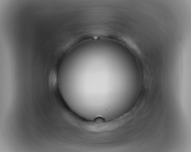 X0000115770021200911201227