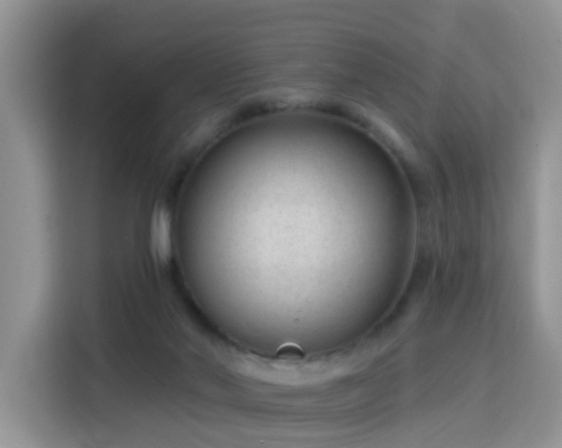 X0000115770022200911201227