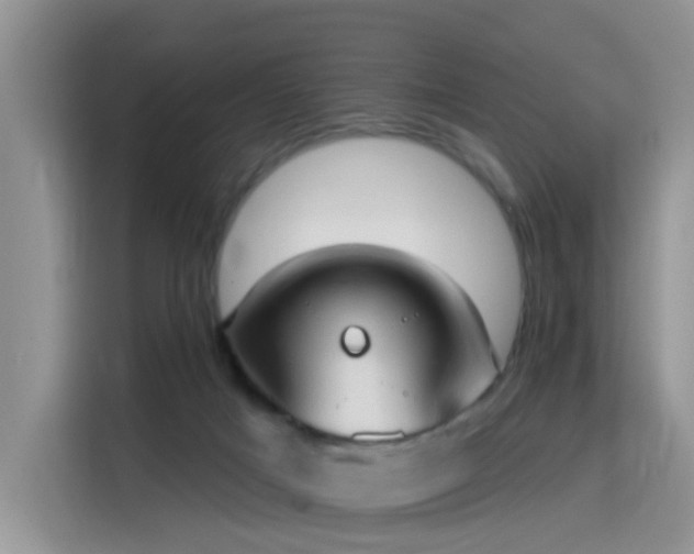 X0000115770025200911201227