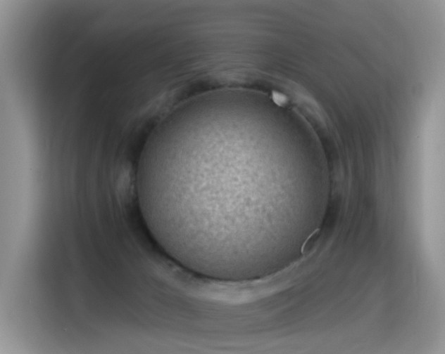 X0000115770029200911201227