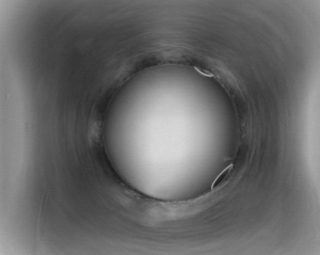 X0000115770033200911201227