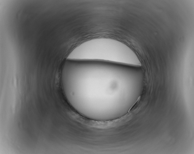 X0000115770037200911201227