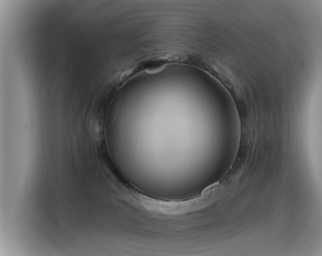 X0000115770039200911201227