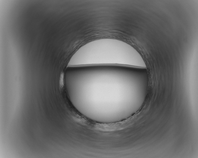 X0000115770041200911201227