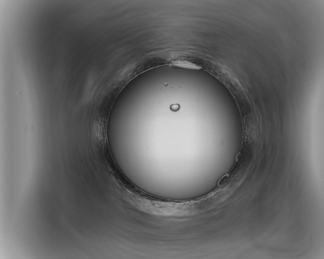 X0000115770044200911201227