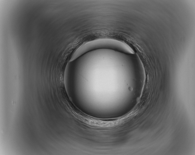 X0000115770048200911201227